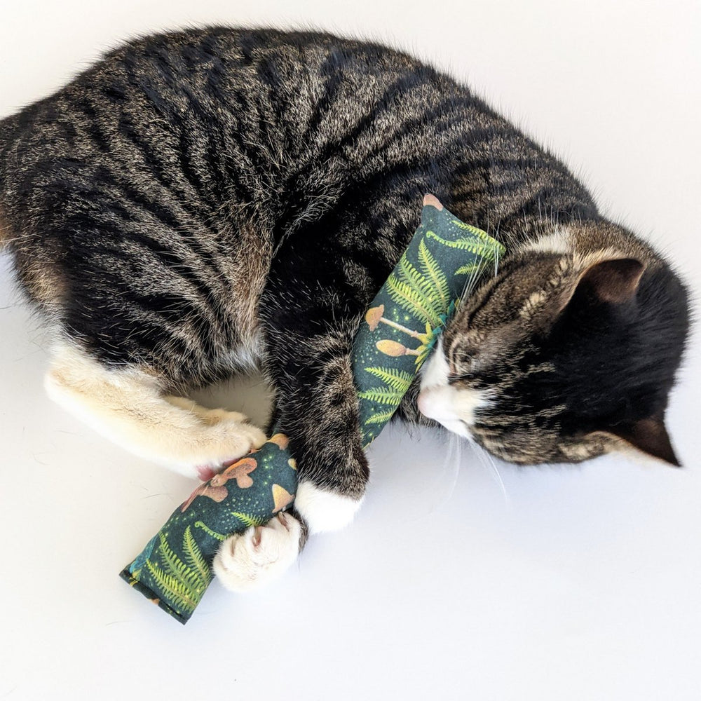 Catnip Log | Mushroom Collection