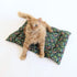 Catnip Mat | Forest Funghi