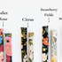 Catnip Kicker | Rifle Paper Collection