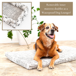 Dog Nest | Frond