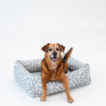 Dog Nest | Snow Leopard