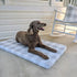 Waterproof Dog Lounger | Gray Plaid