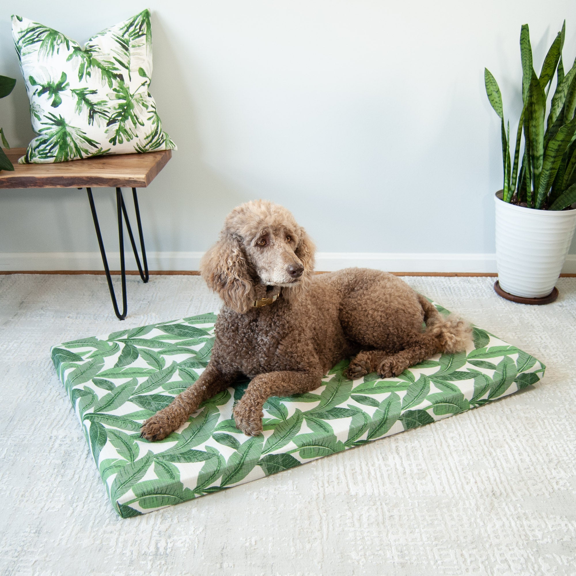 Janery: Sophisticated waterproof pet beds ethically made in the USA