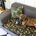 Waterproof PetSpread | Rifle Paper Comany