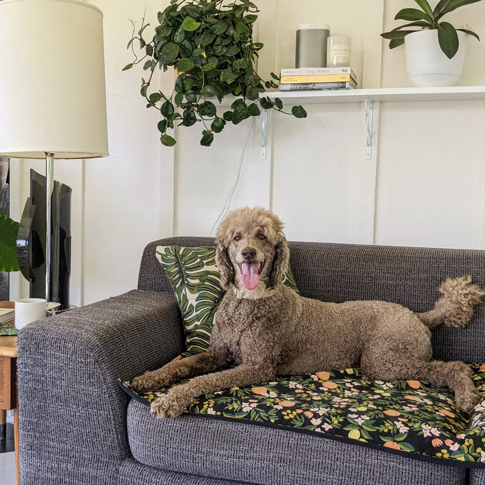 Waterproof PetSpread | Rifle Paper Comany