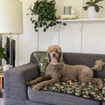 Waterproof PetSpread | Rifle Paper Comany