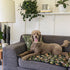 Waterproof PetSpread | Rifle Paper Comany