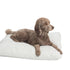 Charlie Cushion | Classics