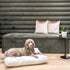 Charlie Cushion | Classics