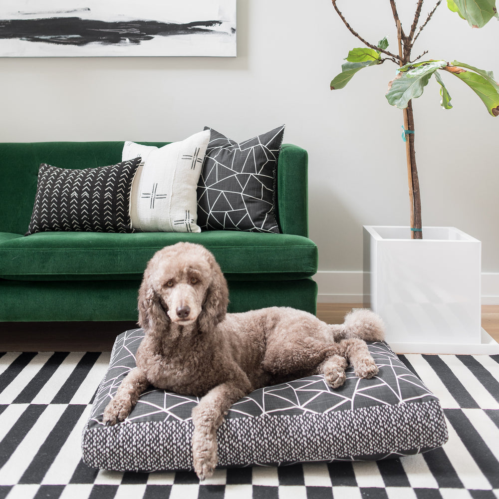 Dog Bed Cover | Gemstone Collection